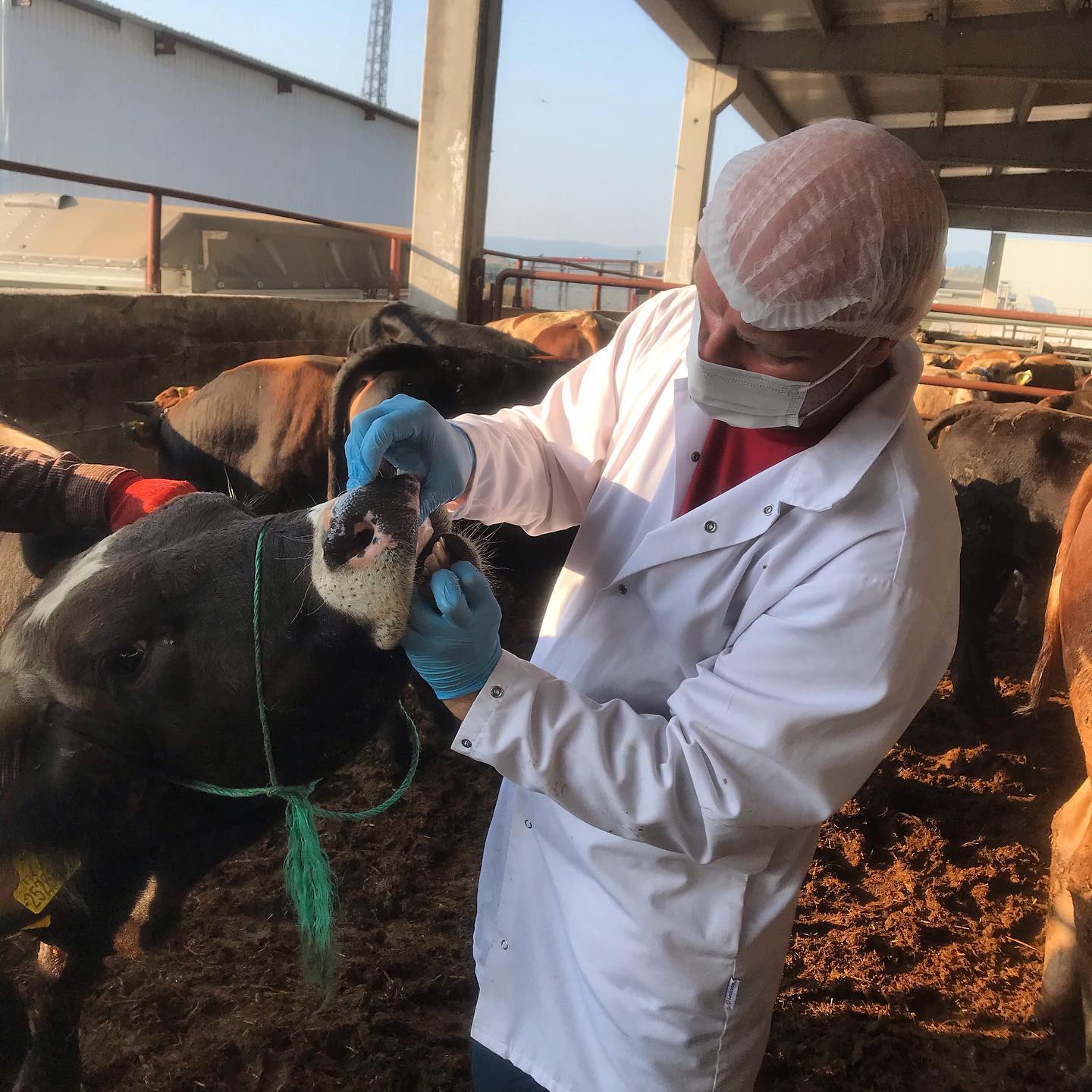 Şeffaf Kurban Hizmeti